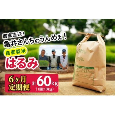 ふるさと納税 伊勢原市 【発送月固定定期便】10月下旬から発送　伊勢原産 精米 10kg はるみ全6回