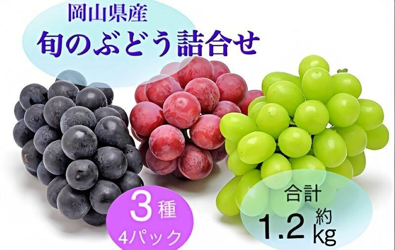 
            岡山県産 旬のぶどう詰合せ 3種 4パック(ニューピオーネ1房 約300g×1P・シャインマスカット晴王1房　約300g×2P・旬のぶどうお任せ1房 約300g×1P)セット
          