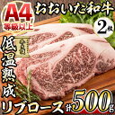 【ふるさと納税】おおいた和牛 リブロースステーキ (計500g・リブロースステーキ約250g×2枚+ステーキソース20g×2袋) 国産 牛肉 肉 霜降り 低温熟成 ステーキ A4 和牛 ブランド牛 BBQ 冷凍 大分県 佐伯市【DH69】【(株)ネクサ】