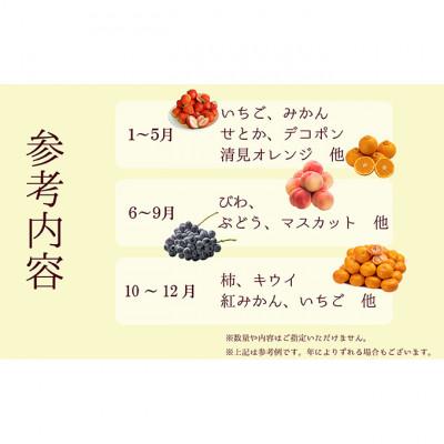 ふるさと納税 綾川町 【毎月定期便】旬を見極めた厳選フルーツ詰合せ-よくばりセット-定期便[54010372]全12回 |  | 02