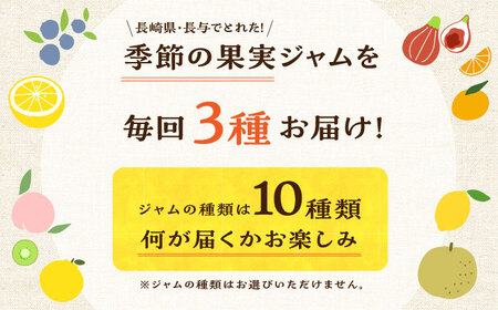 【3回定期便】季節の果実ジャム 3個（各120g） 長与町/アグリューム[EAI089] / ジャム フルーツ 果肉 果物 ジャム フルーツ 果肉 果物 ジャム フルーツ 果肉 果物 ジャム フルーツ