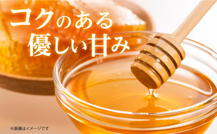 お取り寄せ はちみつ 蜂蜜 ハチミツ 高級