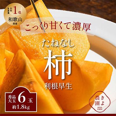 ふるさと納税 九度山町 先行受付　柿(種無し)　赤秀品大玉　6個入　約1.8kg
