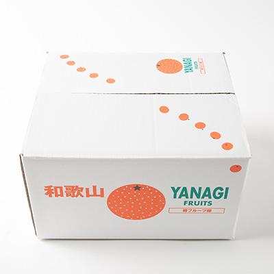 ふるさと納税 橋本市 柳フルーツ園の訳あり富有柿 約10kg【2026冬発送】 |  | 03