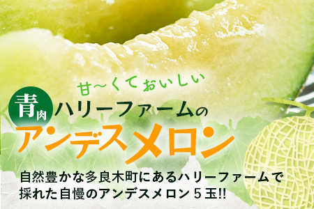 【2026年5月上旬～発送】アンデス メロン 青肉 5玉 (合計 約4.5～5kg) 熊本県 多良木町産 果物 フルーツ メロン 先行予約 5個 青肉 ミツバチ交配 期間限定 数量限定 先行予約 10