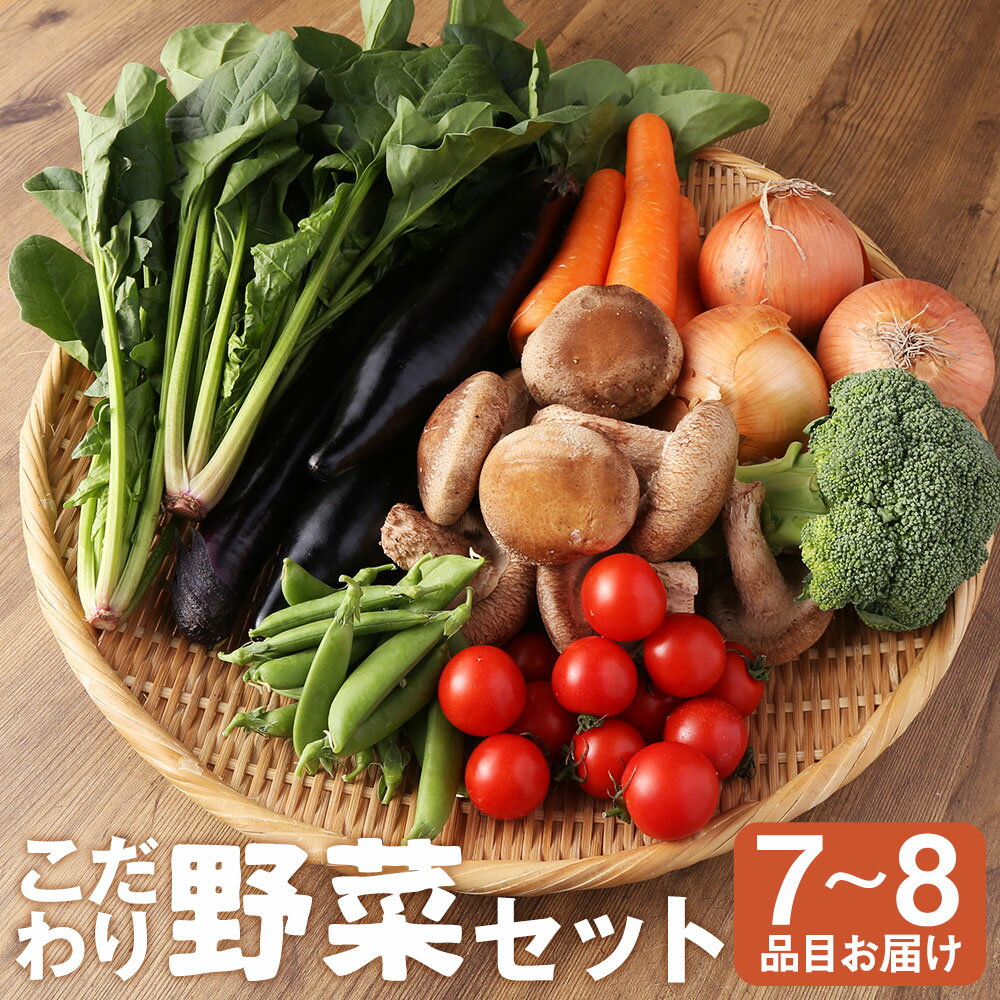 【ふるさと納税】野菜のプロ40年が届けるこだわり野菜セット！ 7～8品目 詰め合わせ セット 野菜 おまかせ 新鮮 長崎県産 時津町産 九州産 国産 冷蔵 クール便 春 旬 春野菜 送料無料