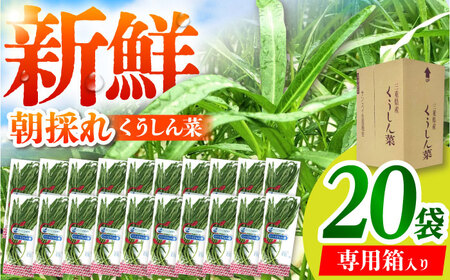 新鮮朝採れ くうしん菜 大容量パック 20袋 / 葉物野菜 / 亀山市 / グリーンハウス吉田[AMCD001]
