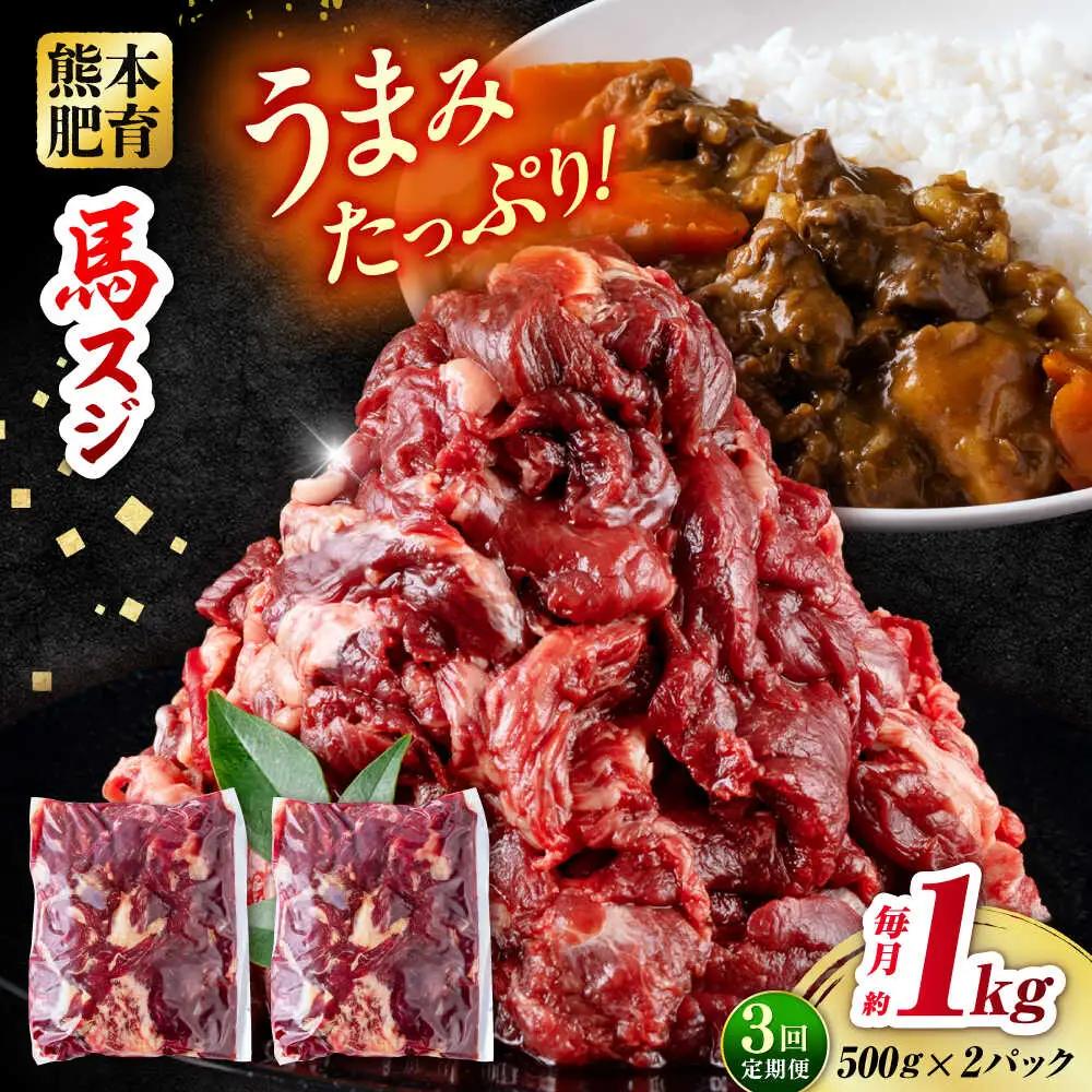 【全3回定期便】 馬スジ 計3kg 1回あたり1kg（500g×2パック） / 馬肉 スジ 筋 煮込み 冷凍[AYBV031]