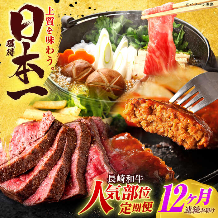 【ふるさと納税】【全12回定期便】長崎和牛 牛肉（肩ロース・ハンバーグ・ローストビーフ）定期便 約10kg【有限会社長崎フードサービス】[OCD026] / ハンバーグ ローストビーフ 肩ロース スライス スライス肉 国産牛 和牛 ストック 食べ比べ