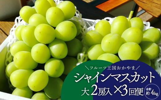 【2026年先行予約】岡山のシャインマスカットを楽しむ満足３回便！特大２房×3回/全便計3.9kg~ (定期便)(岡山県産)【KF-T045-02】