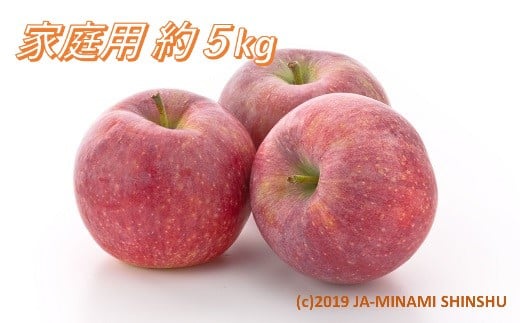 
            A-60 りんご シナノリップ 約5kg（16～20玉入り）※ご家庭用※＜2025年発送　先行予約＞
          