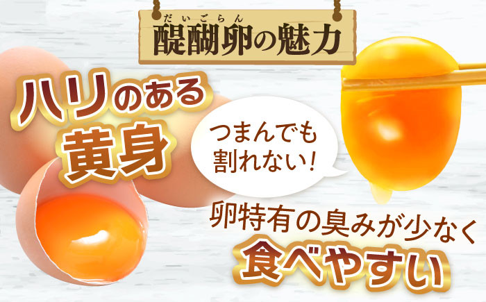 卵 玉子 タマゴ たまご