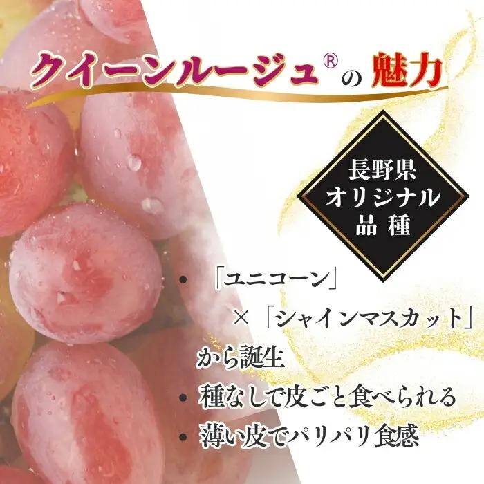 【2026年先行予約】クイーンルージュ® 約1kg|クイーンルージュ ぶどう