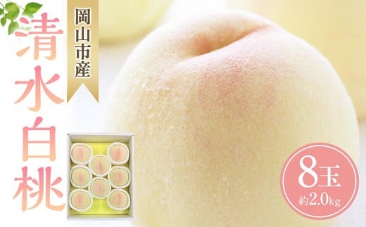 
            桃 2026年  清水 白桃 8玉 合計約2.0kg 【清水白桃 白桃 桃 もも 果物 フルーツ 新鮮 岡山県産 おすすめ 人気 ギフト 岡山県 岡山市】
          