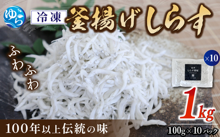 しらす【小分け】冷凍釜揚げしらす1kg（100g×10パック）【dig003】
