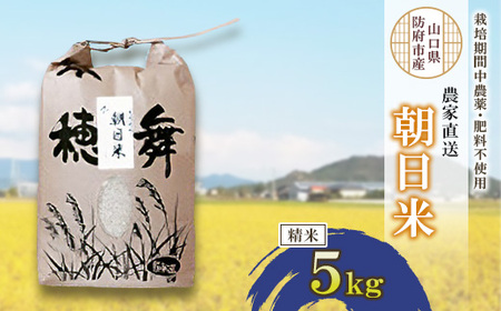 栽培期間中農薬・肥料不使用で作った朝日米　精米5kg_米 朝日米 精米 こめ お米 おこめ コメ 白米 5kg 甘い おいしい ごはん ご飯 おにぎり お弁当 農薬不使用 肥料不使用 産地直送 産直 山口県 防府市 贈答 ギフト プレゼント 送料_【1473446】