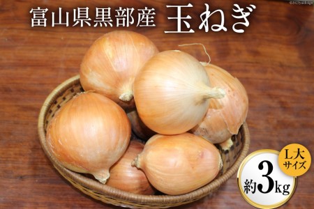 玉ねぎ 野菜 L大サイズ くろべの太陽 富山県産 玉ねぎ【約3kg】