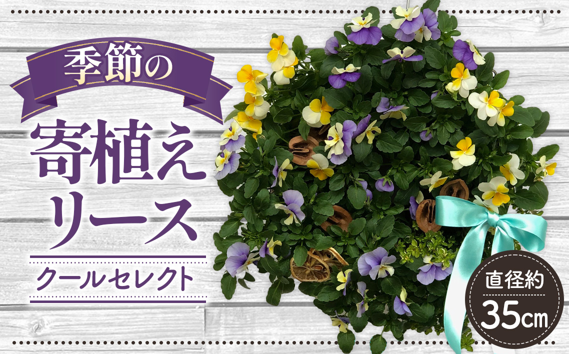【季節の寄植えリース】クールセレクト＊花工房すなが＊