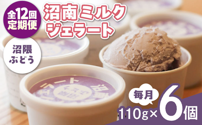 【全12回定期便】沼南ミルクジェラート 沼隈ぶどう ６個　アイス  ぶどう  アイス アイスクリーム デザート スイーツ ご当地 広島県福山市/甚ごろう [BAEC044]