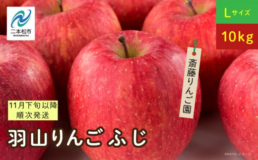 《2024年11月下旬以降順次》羽山のりんご ふじLサイズ10kg りんご 果物 フルーツ 羽山りんご 10kg ふじ 人気 くだもの おすすめ お中元 お歳暮 ギフト 二本松市 ふくしま 福島県 送料無料【斎藤りんご園】