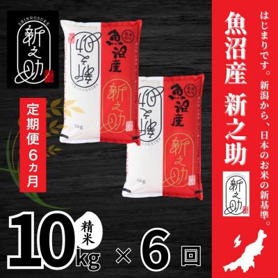 ふるさと納税 十日町市 【毎月定期便】【定期便6回(毎月発送)】新之助 精米 10kg全6回