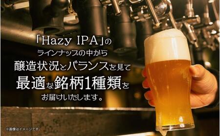 クラフトビール Hazy IPA 330ml 4本 ビール 地ビール 瓶ビール お酒 酒 beer アルコール ヘイジー アイピーエー 瓶 ホップ 麦芽 人気 晩酌 宅飲み 家飲み ご当地 ギフト お