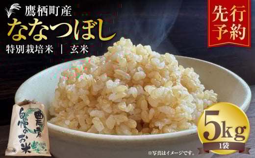【令和7年産】 ななつぼし （玄米）  5kg 米 お米 玄米 北海道 玄米ご飯 鷹栖町 【2025年9月下旬より発送開始】