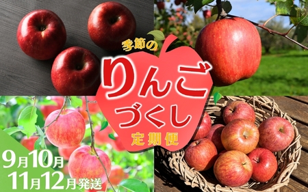 りんご 定期便 大文字りんご園 季節の りんご づくし 定期便 紅いわて サン北斗 大夢 サンふじ ※離島配送不可 / りんご りんご りんご りんご りんご【dma513-set-3x4C】