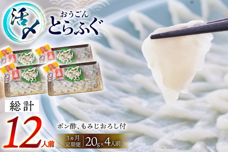 ふぐ 刺身 セット 活〆 おうごんとらふぐ 刺身セット 4人前 3回 定期便