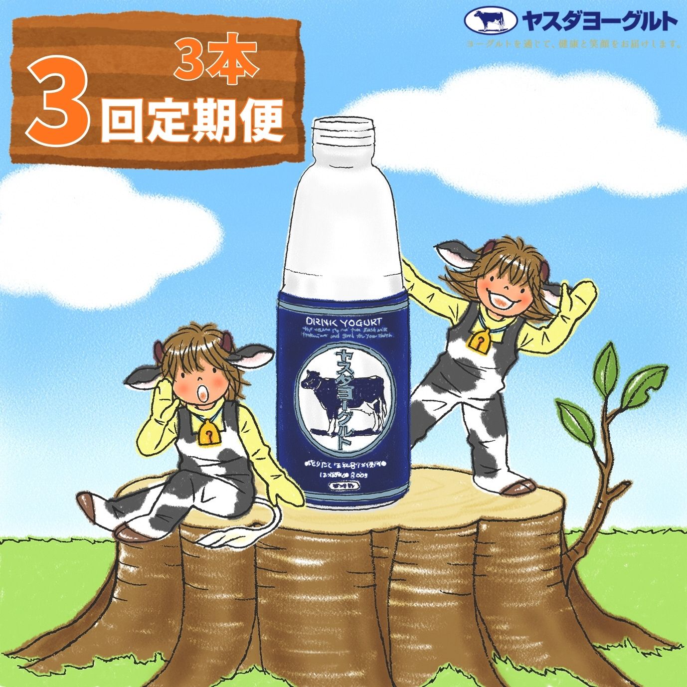 【ふるさと納税】≪定期便3回≫ 飲むヨーグルト 800g×3本×3回 大ボトル 3年連続最高金賞 ヤスダヨーグルト | のむヨーグルト 乳製品 新潟県産生乳 無添加 大容量 簡易梱包 冷蔵 毎月お届け 朝食 おやつ お取り寄せ ギフト 新潟県 阿賀野市 1B61016