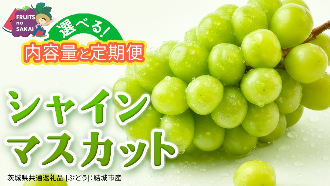 
                  ＼選べる内容量・発送方法／ シャインマスカット 約1.3kg ～ 5kg （約2房～12房）単品（1回）・定期便（3回・6回）　【定期2026年8月、単品9月より発送開始】（茨城県共通返礼品 [ぶどう]：結城市産） 葡萄 マスカット 旬 お取り寄せ フルーツ 種なし 皮ごと 甘い デザート
                
