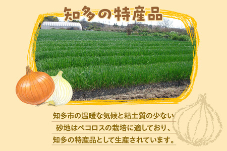 知多ペコロス ミニ玉ねぎ タマネギ たまねぎ ペコロス 野菜 特産 愛知県 知多市