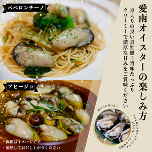 愛南 オイスター 3kg 24000円 先行予約 牡蠣 加熱用 殻付き 三倍体 真牡蠣 ブランド 特産品 お取り寄せ グルメ 大粒 濃厚 クリーミー おいしい 新鮮 ご褒美 かき パスタ アヒージョ 