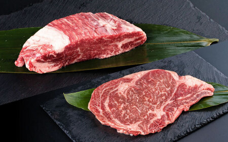 【全3回定期便】熊本産ステーキ用 あか牛 計約4.5kg 2種類【合同会社 たべたせいか】[AYCB005]