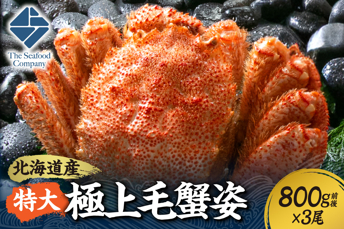 特大極上毛蟹姿　800g前後×3尾セット