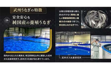 武州うなぎ 国産うなぎ蒲焼 4尾 お手頃サイズ 冷凍真空パック（約400g）【埼玉県 東松山市 鰻 ウナギ 誕生日 プレゼント 鰻の蒲焼き 特選品 美味しい お取り寄せ 贈り物 グルメ 旬 おすすめ 