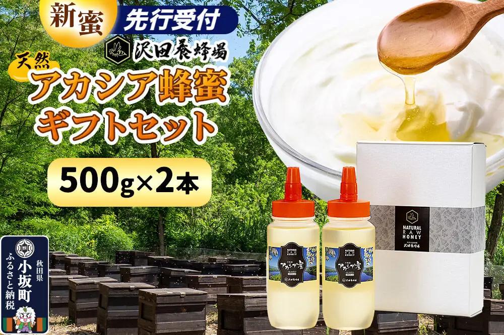 はちみつ 天然十和田 アカシア蜂蜜 ギフトセット 500g 2本セット