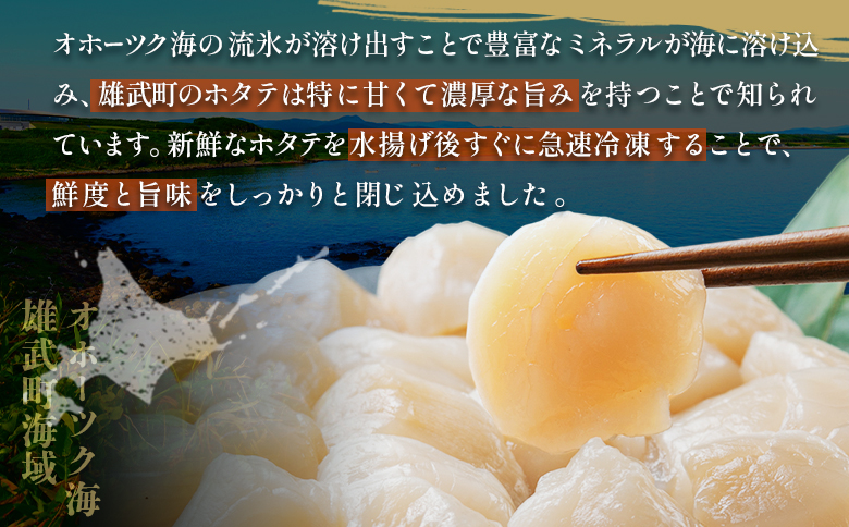 北海道雄武町産ホタテ貝柱２ｋｇ訳アリ小分けAフレーク（500g×４）【12353】
