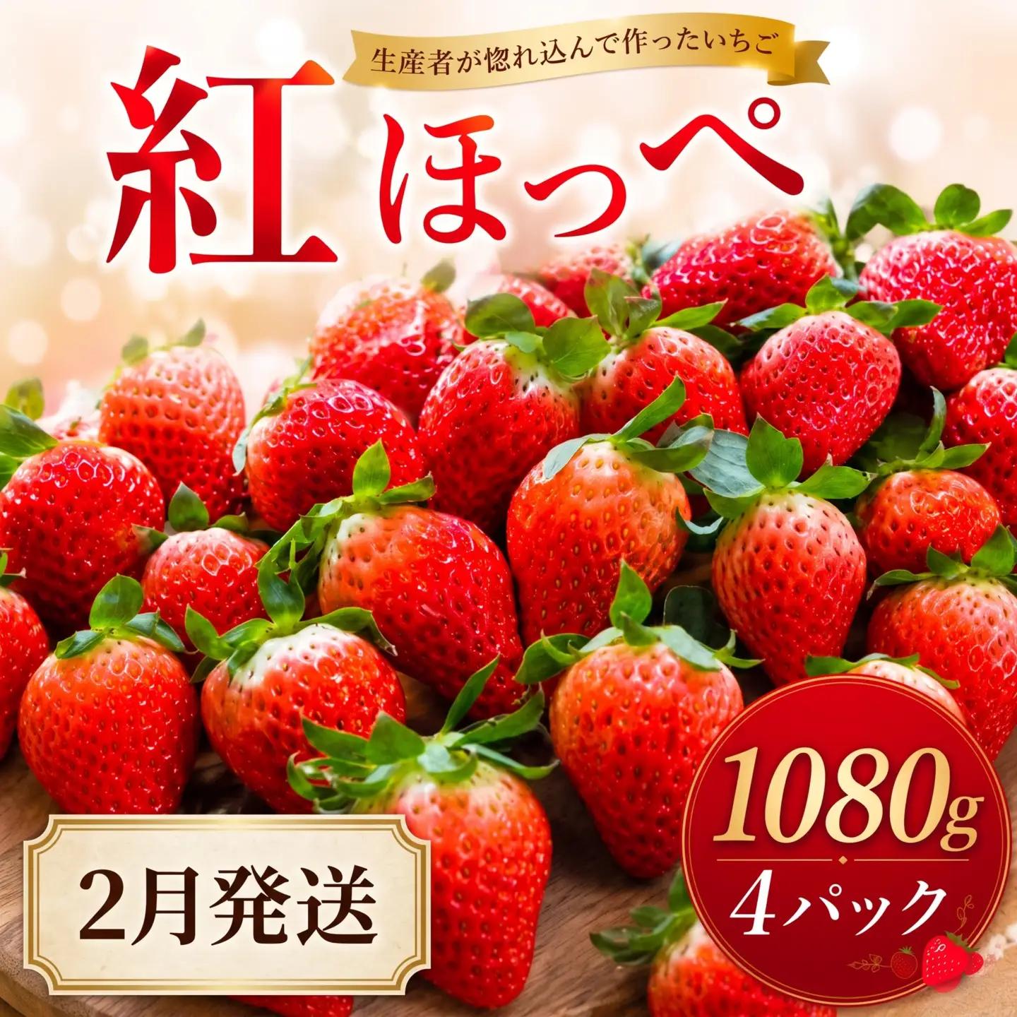【2027年2月発送】 いちご 紅ほっぺ 計1080g 約270g×4パック いちご