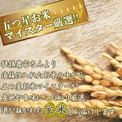 ふるさと納税 伊万里市 【毎月定期便】【玄米】さがびより5kg【特A評価】《マイスターセレクト》(伊万里市)全3回 |  | 02