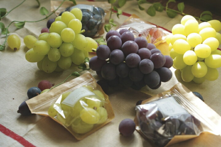 【ふるさと納税】【2026年】【先行受付】HARETOMI産 ピオーネ・シャインマスカットのセット