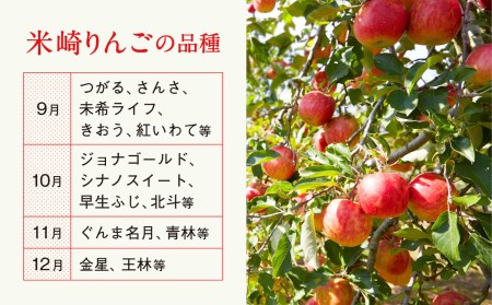 【2024年 先行予約】米崎りんご３㎏【品種おまかせ１種】