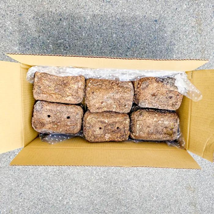 家庭菜園やカブトムシ・クワガタムシのマットに。廃菌床12個入り【サステナブル 家庭菜園 土壌 再利用 廃菌床】