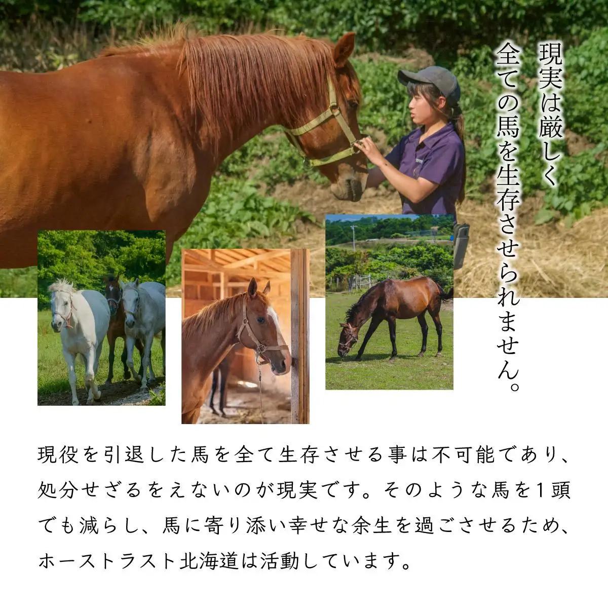 ホーストラスト北海道引退馬支援 3000円分