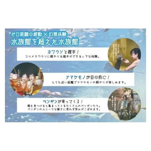 「DMMかりゆし水族館」入場券 中人1名(13～17歳)