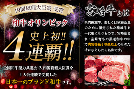 【最短2週間以内で発送】生産者応援 数量限定 宮崎牛 ロース ステーキ 3枚(計750g) 牛肉 ビーフ 黒毛和牛 ミヤチク 国産 ブランド牛 食品 おかず ディナー 人気 おすすめ 鉄板焼き 高級 