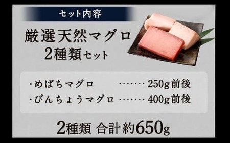 【定期便5回】厳選 天然マグロ 2種 セット650g (メバチ250g ビンチョウ400g) 目鉢 鬢長 セット まぐろ食べ比べ定期便 訳あり 刺身 さしみ 刺し身 冷凍 漬け 海鮮 丼 父の日 高知