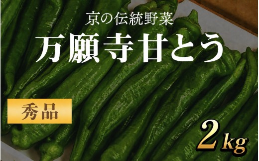 ＜期間限定！2026年7月より順次発送予定！＞＜選べる＞京のブランド産品 万願寺甘とう 秀品(2kg)【fc-CR006-B】【京都丹の国農業協同組合】