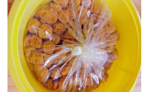 紀州南高梅　ほんまもんの梅干し（塩分20％） 秀品　L,2L,3Lサイズいずれか 10kg樽+もみしそ（250ｇ） / 田辺市 紀州南高梅 南高梅 梅干 梅  しそ 秀品 樽入り 樽漬け 梅干し  【