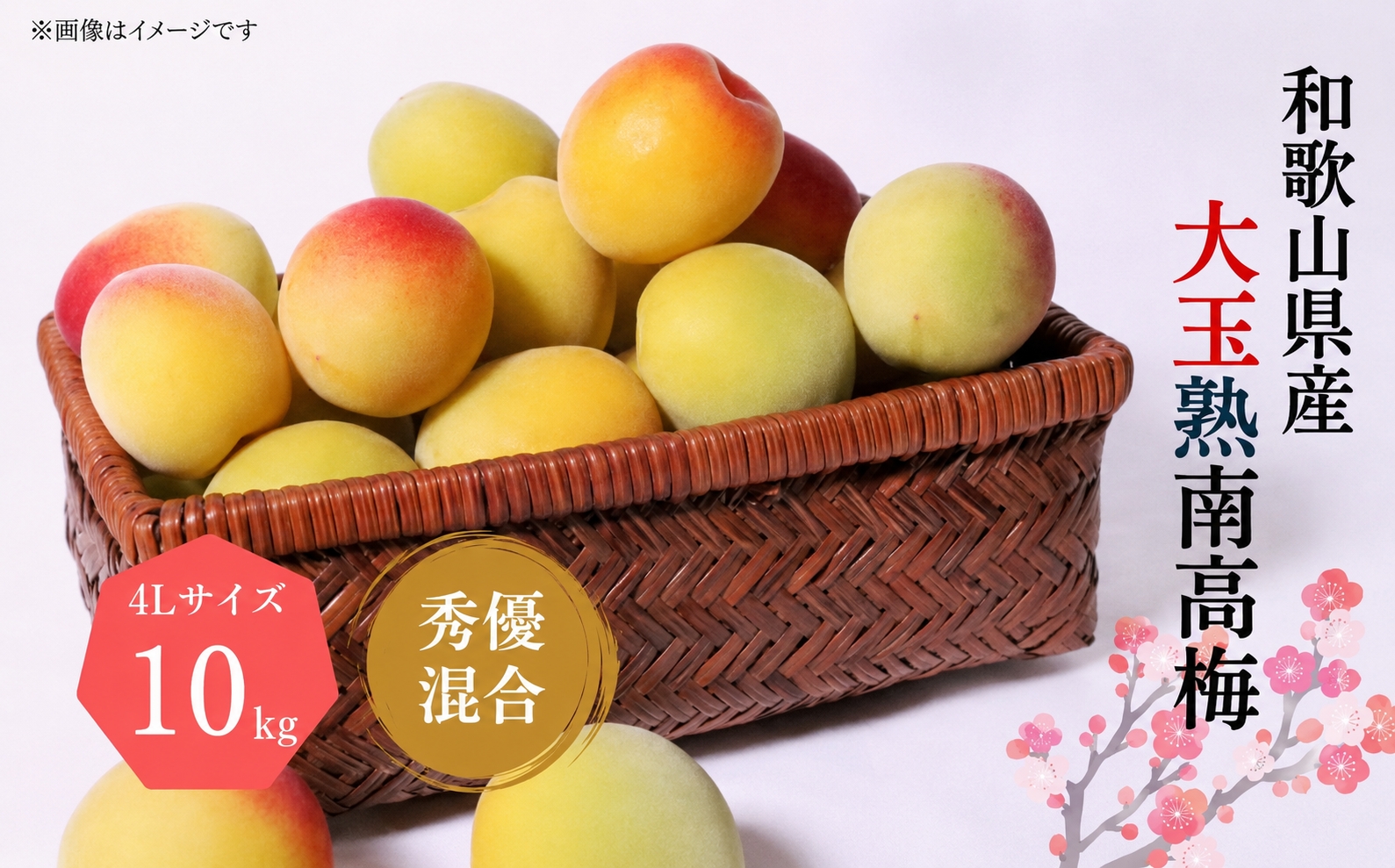 【梅干・梅酒用】 大玉 4Lサイズ約10kg 熟南高梅 秀優混合 / 梅 フルーツ 梅酒 生梅 南高梅 完熟 うめ 生梅 ウメ ※2027年6月上旬～7月上旬頃発送予定 ※沖縄・離島への配送不可 【art022B】